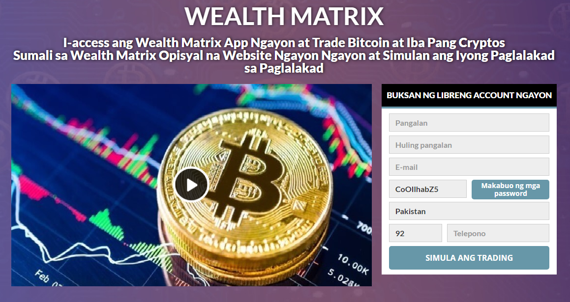 wealth matrix